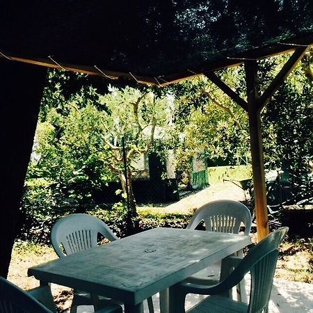 Agriturismo La Mora 阿西西 外观 照片