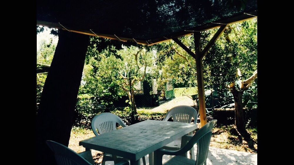 Agriturismo La Mora 阿西西 外观 照片